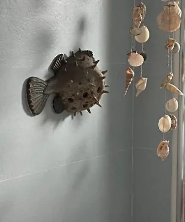 Prázdninový dům Eterna Primavera, A 40m De La Piscina Natural