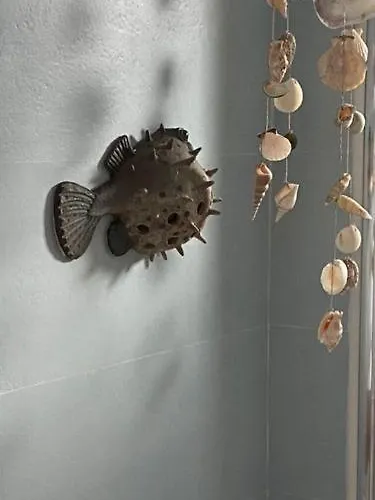 Dom wakacyjny Eterna Primavera, A 40m De La Piscina Natural