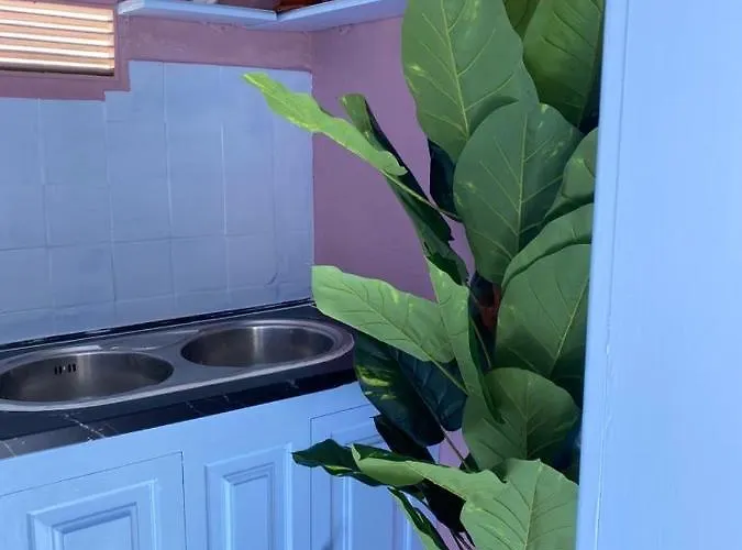 Eterna Primavera, A 40m De La Piscina Natural Сasa de vacaciones